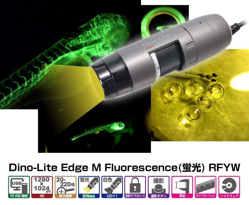 蛍光575nm（Emission 525nm)を搭載したDino-Liteモデル